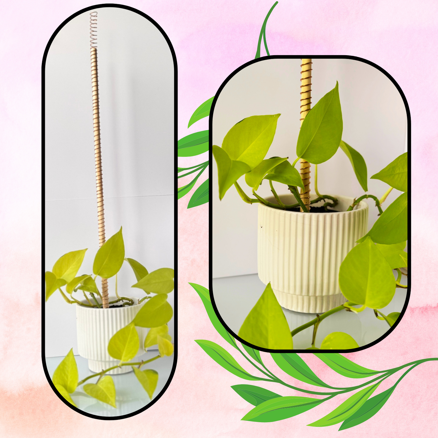 Electroculture Plant Stake